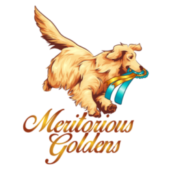 Meritorious Goldens Logo
